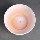 Горшок "Бонсай №2" для кактусов и суккулентов, белый, 1 л/19х7см - Фото 10