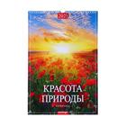 Календарь перекидной на ригеле "Красота природы" 2021 год, 320х480 мм - Фото 1