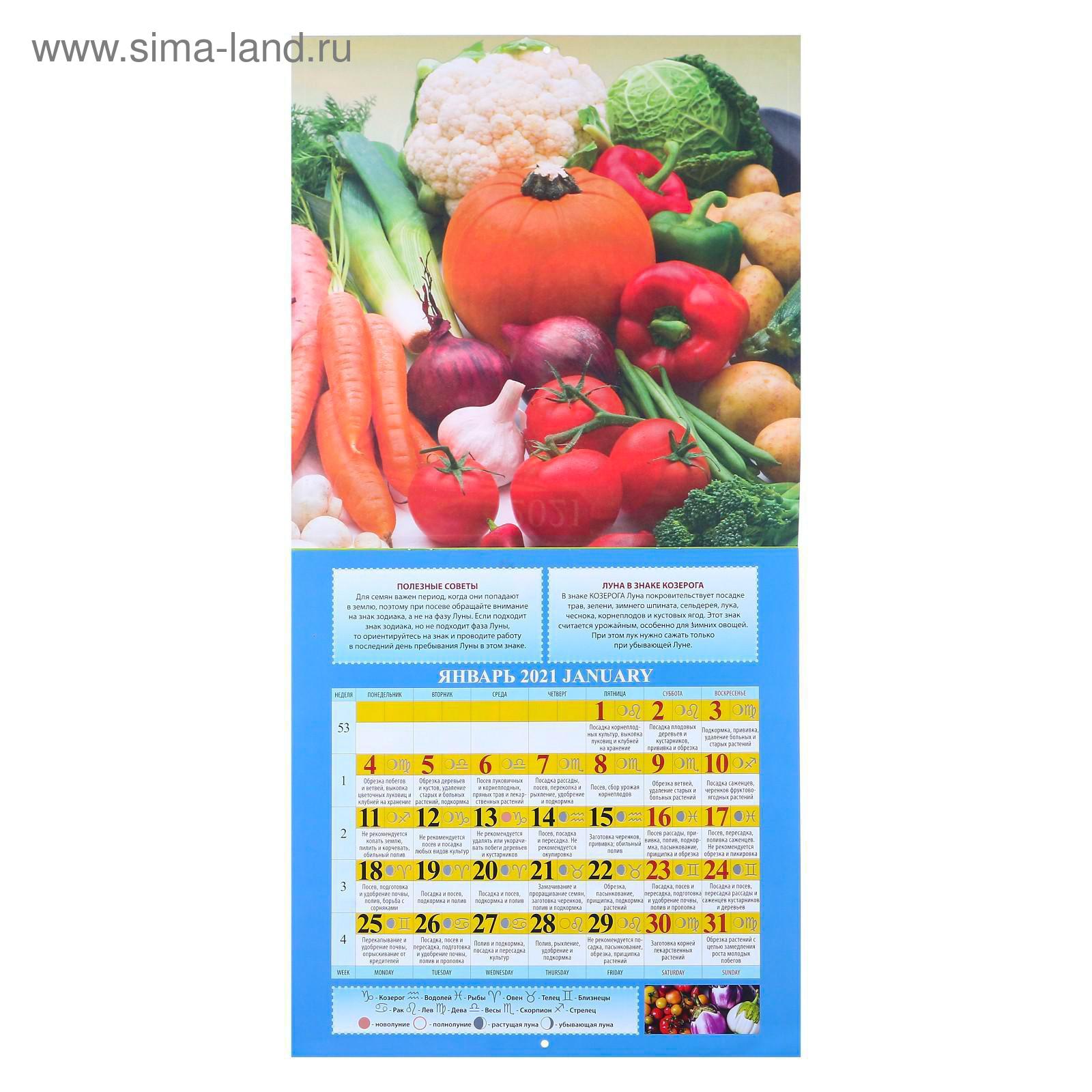 Календарь настенный перекидной "Садово-огородный лунный календарь" 320х480 на гр