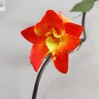 Декор тинги "Гибискус" 150 см (фасовка 5 шт, цена за 1шт) микс - фото 24332713