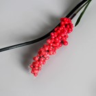 Декор тинги «Ягодные грозди», h=150 см (цена за штуку), МИКС 4735726