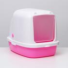 Туалет закрытый «Айша» 53 × 39 × 40 см, розовый - Фото 1