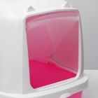 Туалет закрытый «Айша» 53 × 39 × 40 см, розовый - Фото 5