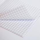 Блокнот 10х10, 16 листов Avocato (комплект 20 шт) - фото 23065732