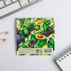 Блокнот 10х10, 16 листов Avocato (комплект 20 шт) - фото 23065733