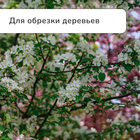 Сучкорез плоскостной, 14.6" (37 см), металлические ручки с поролоновыми накладками, Greengo - Фото 5