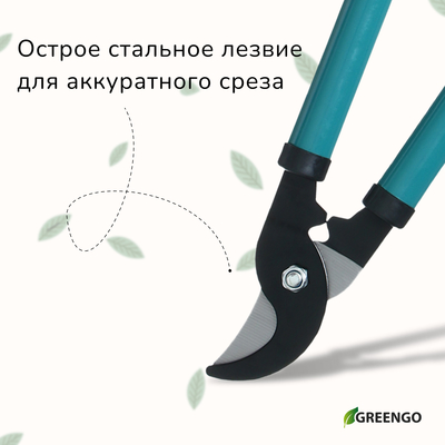Сучкорез плоскостной, 14.6" (37 см), металлические ручки с поролоновыми накладками, Greengo