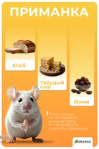 Крысоловка, 6.5×12 см, металлическая, Greengo - Фото 4