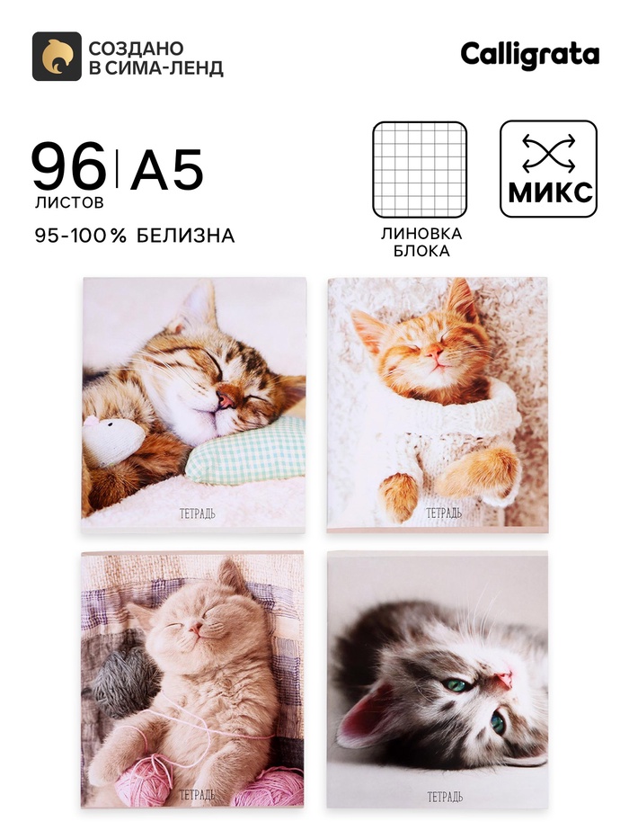 Тетрадь 96 листов в клетку Calligrata «Котики», обложка мелованный картон, блок офсет, МИКС - Фото 1