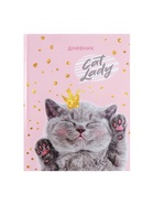 Дневник универсальный для 1-11 классов, «Киса», твердая обложка 7БЦ, глянцевая ламинация, 40 листов - Фото 3