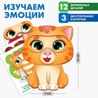 Дидактические игры и материалы «Изучаем эмоции с котёнком» - фото 9552391