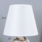 Лампа настольная 38040/1 E14 40Вт белый 20х20х34 см RISALUX - фото 21079456