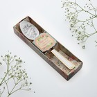 Ложка с гравировкой чайная "Светлана" в подарочной коробке - фото 8224642