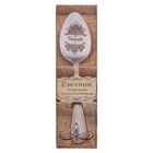 Ложка с гравировкой чайная "Евгений" в подарочной коробке - Фото 2