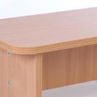 Скамейка 700х250х220, ЛДСП, цвет бук 5069450 - фото 16149427