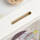 Интерьерная копилка для купюр и монет «Мишка на велосипеде», пластик, 17×12×3.8 см 4785401 - фото 16576936