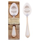 Ложка чайная "Даниил" в подарочной коробке - Фото 1