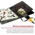 Секретная книга с волшебным фонариком «Диноленд», 22 стр. - Фото 4