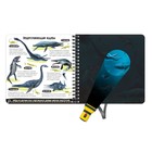 Секретная книга с волшебным фонариком «Диноленд», 22 стр. - Фото 5