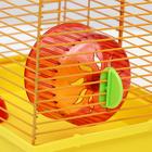 Клетка для джунгариков малая, комплект, 23 х 18 х 19 см, жёлтый/оранжевый - Фото 5