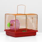 Клетка для джунгариков малая, комплект, 23 х 18 х 19 см, красный/оранжевый - Фото 1