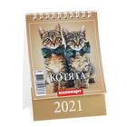 Календарь настольный, домик "Котята" 2021 год, 10х14 см - Фото 1