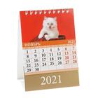 Календарь настольный, домик "Котята" 2021 год, 10х14 см - Фото 12