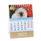 Календарь настольный, домик "Котята" 2021 год, 10х14 см - Фото 13