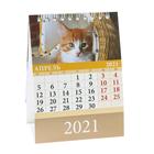 Календарь настольный, домик "Котята" 2021 год, 10х14 см - Фото 5