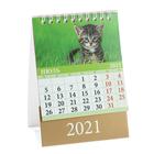 Календарь настольный, домик "Котята" 2021 год, 10х14 см - Фото 8