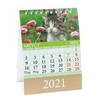 Календарь настольный, домик "Котята" 2021 год, 10х14 см - Фото 9