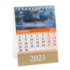 Календарь настольный, домик "Родные просторы" 2021 год, 10х14 см - Фото 12