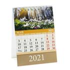 Календарь настольный, домик "Родные просторы" 2021 год, 10х14 см - Фото 6