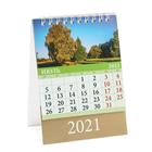 Календарь настольный, домик "Родные просторы" 2021 год, 10х14 см - Фото 8