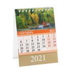 Календарь настольный, домик "Родные просторы" 2021 год, 10х14 см - Фото 10