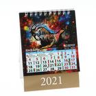 Календарь настольный, домик "Астрологический" 2021 год, 10х14 см - Фото 2