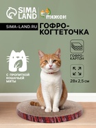 Гофрокогтеточка «Пижон» круглая «Спил сосны», с пропиткой, 28×2.5 см - Фото 1