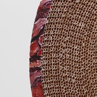 Гофрокогтеточка «Пижон» круглая «Спил сосны», с пропиткой, 28×2.5 см - Фото 5