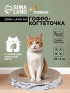 Гофрокогтеточка «Пижон. Спил березы», 28×4 см, с пропиткой, высокая, круглая - Фото 1