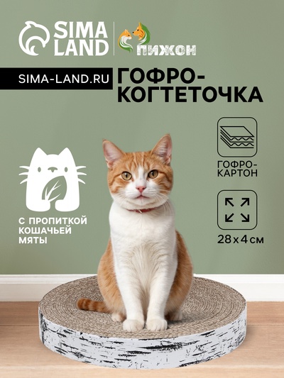 Гофрокогтеточка «Пижон. Спил березы», 28×4 см, с пропиткой, высокая, круглая