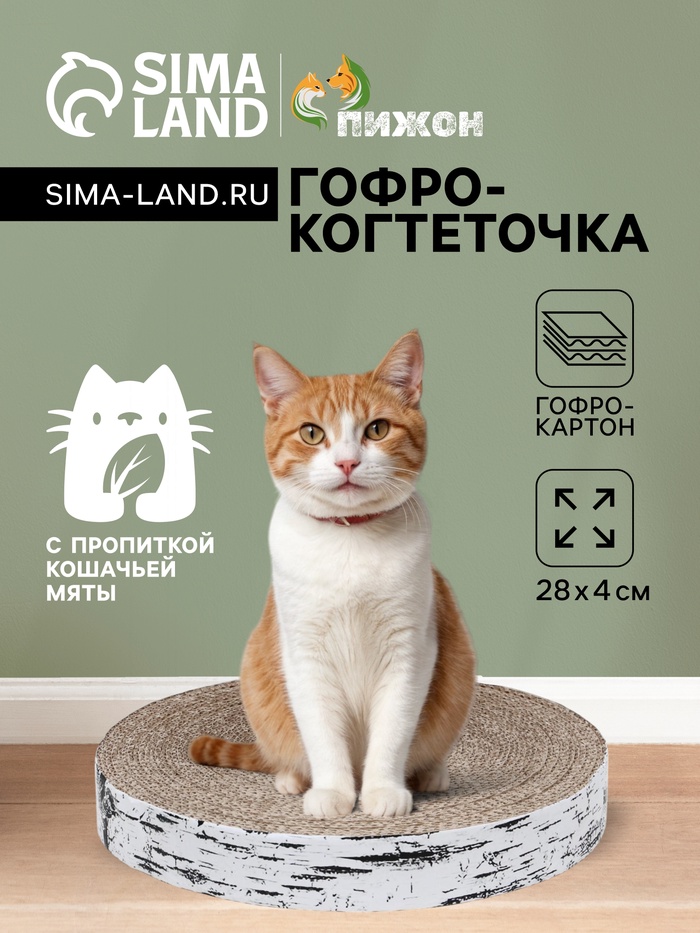 Гофрокогтеточка «Пижон. Спил березы», 28×4 см, с пропиткой, высокая, круглая - Фото 1