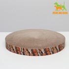 Гофрокогтеточка "Пижон" высокая круглая "Спил сосны", с пропиткой, 35 х 4 см - Фото 2