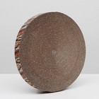 Гофрокогтеточка "Пижон" высокая круглая "Спил сосны", с пропиткой, 35 х 4 см - фото 6304552