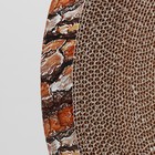 Гофрокогтеточка "Пижон" высокая круглая "Спил сосны", с пропиткой, 35 х 4 см - Фото 5