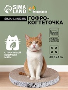 Гофрокогтеточка "Пижон" высокая круглая "Спил березы", с пропиткой, 40,5 х 4 см - Фото 1