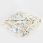 Комплект спальный «Экономь и Я»: одеяло 1.5-спальное, синтепон 100 г/м² + подушка 50×70 см, МИКС - Фото 3