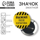 Значок закатной «Выжил после карантина», d=56 мм - Фото 1