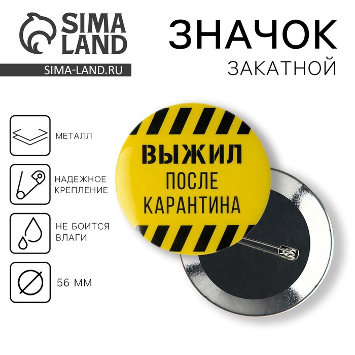 Значок закатной «Выжил после карантина», d=56 мм - Фото 1