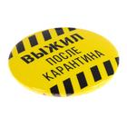 Значок закатной «Выжил после карантина», d=56 мм - Фото 4