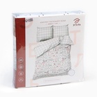 Постельное бельё евро «Этель» Xmas cat, бязь 4935601